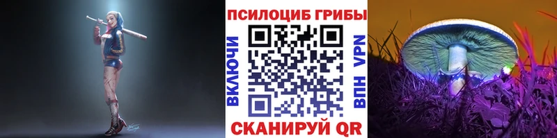 Галлюциногенные грибы Psilocybine cubensis Пласт